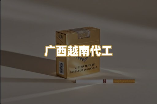 广西越南代工